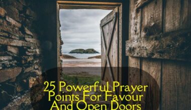 Prayer Points For Favour And Open Doors